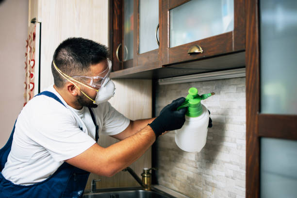 Best Best Pest Control Companies  in Micco, FL