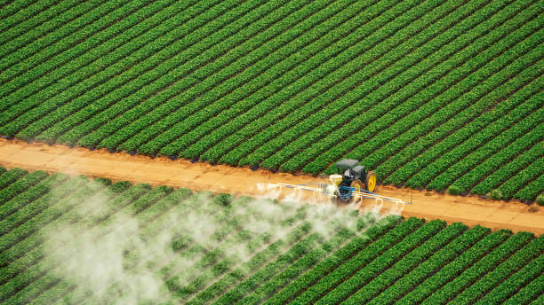 Best Pest Removal Services  in Micco, FL