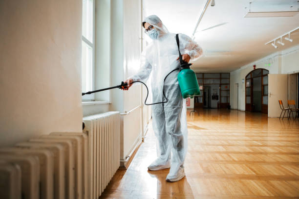 Best Affordable Pest Control Services  in Micco, FL